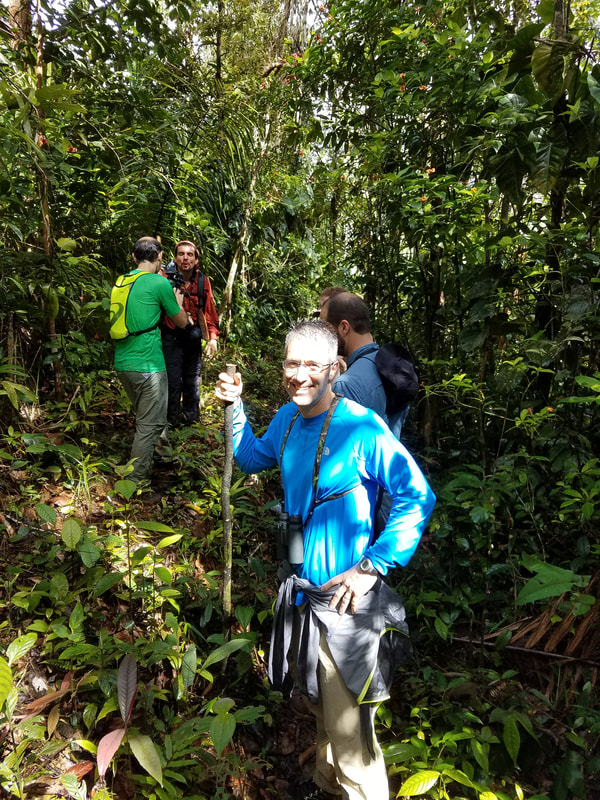 Rainforest in Panama
